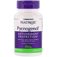 Natrol, Pycnogenol, 50 мг, 60 капсул