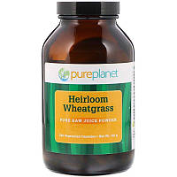 Pure Planet, Heirloom Wheatgrass, 240 Vegetarian Capsules