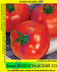 Насіння томату Волгоградський 323 0,5 кг