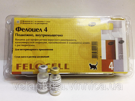 Фелоцел 4 VAC-вакцина для кішок 1 доз, фото 1
