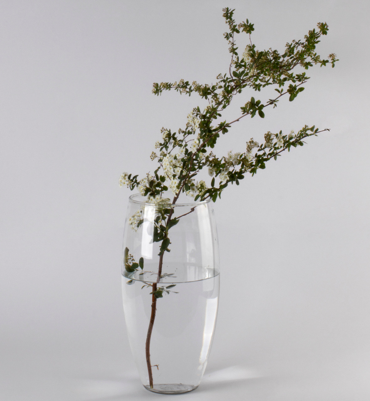 Ваза скляна прозора "Оріон" h 250 d 90 мм, фото 1