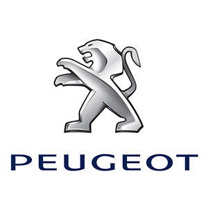 Ручки КПП та чохли Peugeot