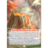 Енциклопедія для Чомучок Динозаври Авт: Біляєва І. Вид: Белкар, фото 2