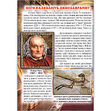 Енциклопедія для Чомучок Динозаври Авт: Біляєва І. Вид: Белкар, фото 6