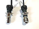 Ксенонова лампа H4 5000K Xenon HID bulb 12041, фото 3