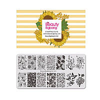 Пластина для стемпінгу Beauty BigBang XL-22 Коліри, листя, метелики