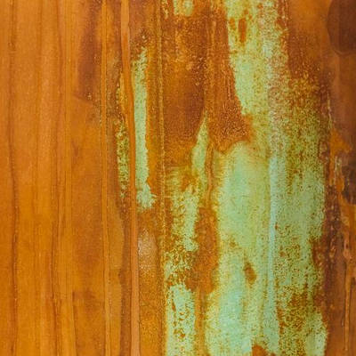 CORROSIA ACTIVATOR мультикомпонентний продукт Elf (0.5 л)