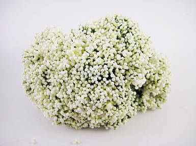 Кульки бежеві на гілках 12 штук/пучок на дроті для рукоділля, хобі, декору