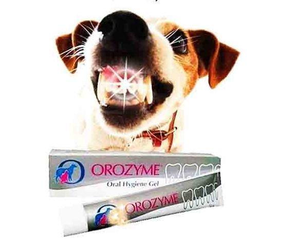 Гель для догляду за зубами Orozyme (Орозим)