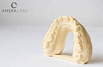 Фотополімерна смола Ameralabs LCD Resin Dental Model Sand, фото 6