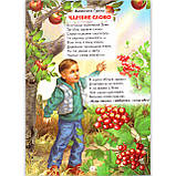 Світ навколо тебе Абетка зразкової поведінки Вид: Белкар, фото 3