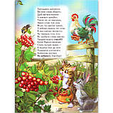 Світ навколо тебе Абетка зразкової поведінки Вид: Белкар, фото 4