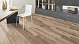 Kaindl K4412 Дуб Мультисмуговий (Eiche Multistripe) True 4V ламінат, фото 4