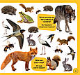 100 слів про тварин світу / 100 words about animals of the World (фотокнига), фото 6