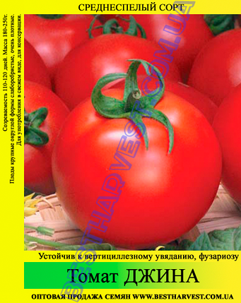 Семена томата Джина 0,5кг, фото 2