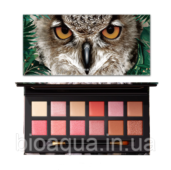 Тіні для повік Images Jungle Shadow (сова) №2