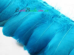 Пір'я гусині — 2, аквамарин