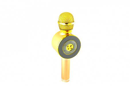 Мікрофон DM Karaoke WS668, фото 2