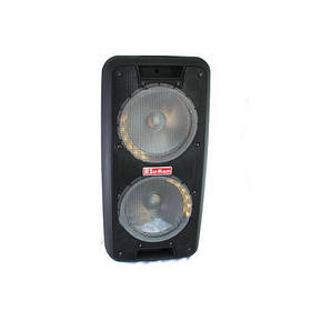 Портативна колонка Su-Kam 1010 + 2 бездротові мікрофони + Bluetooth (12v \ 220v)