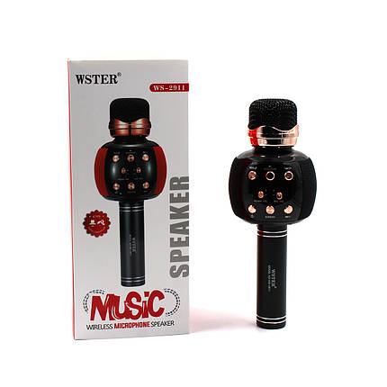 Мікрофон караоке DM Karaoke WS 2911 BLACK, фото 2