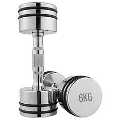 Фітнес гантель хромована 6кг з гумовими кільцями на млинцях 1 шт