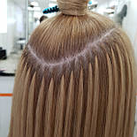 Відео курс навчання Ice Extension російською мовою, фото 3