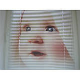 Жалюзі пластикові 110х200см, фото 9