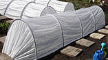 Плівка термозбіжна, прозора для теплиць і парників, ширина 1.1 м, фото 8