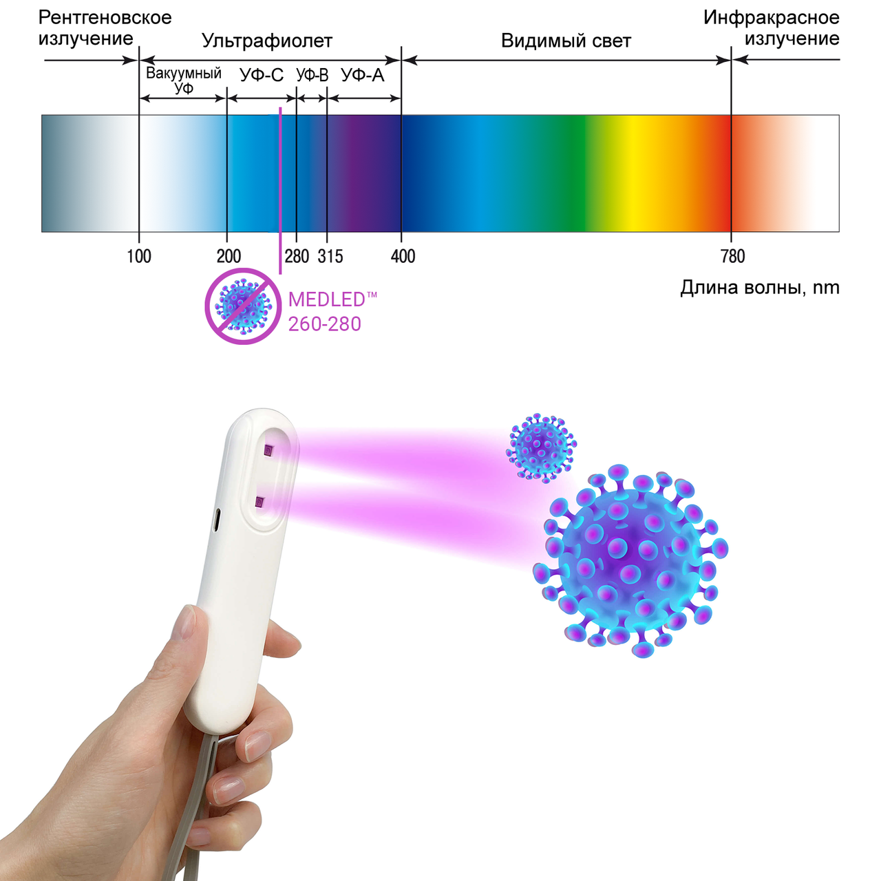 Стерилизатор UVC Medled портативный для дезинфекции от вирусов, бактерий, грибков - мини - фото 8 - id-p1184569555