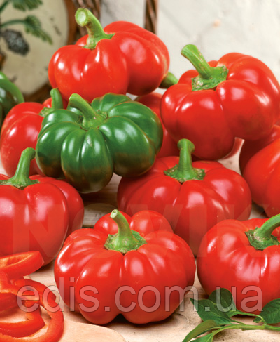 Перець Ратунда 0,3 г, насіння Яскрава