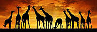 Алмазная вышивка" Удивительная семья жирафов" Африка, вечер,полная выкладка ,мозаика 5d, наборы 80х30 см