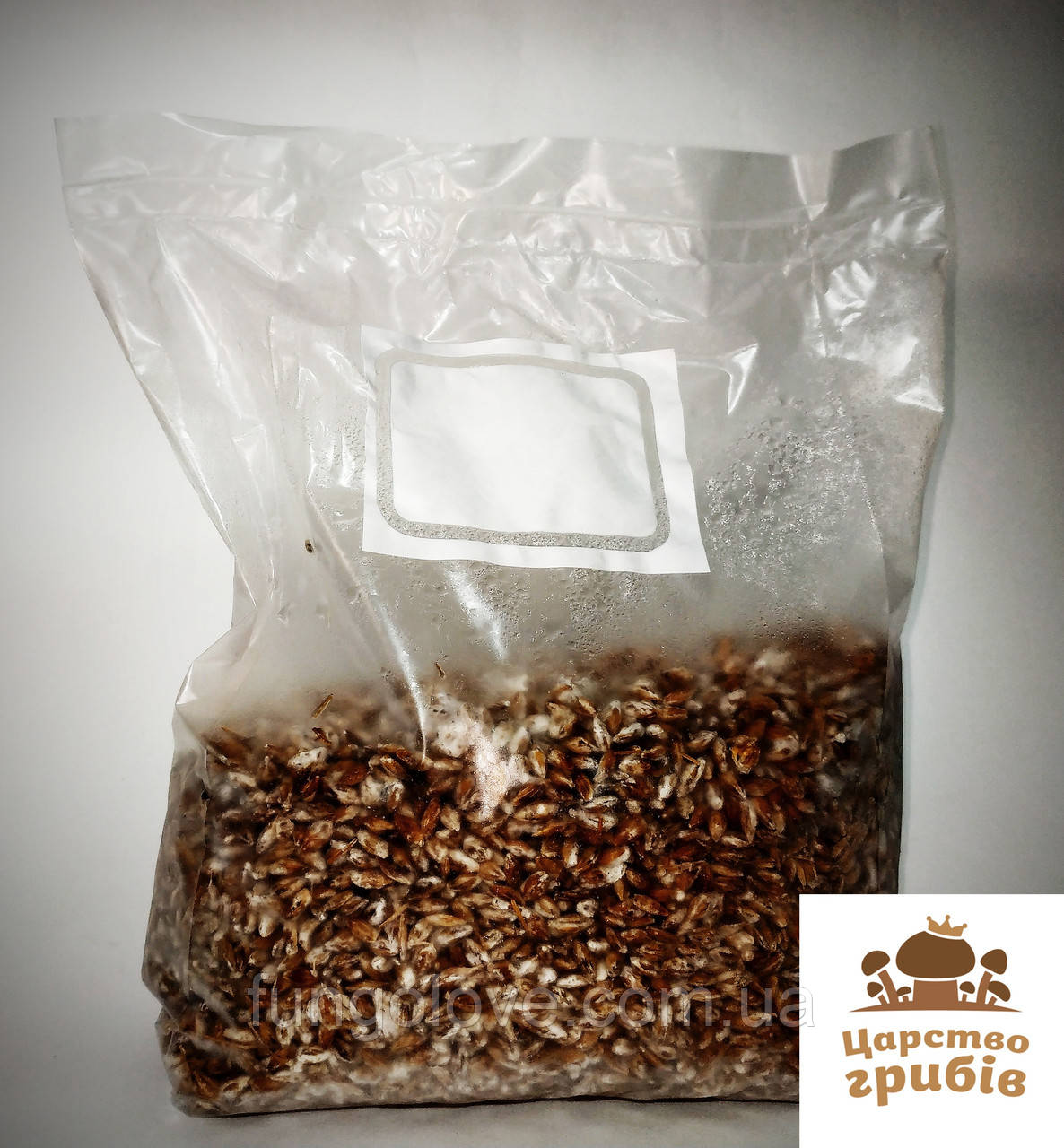 Міцелій зерновий Шиїтаке (Lentinula Edodes) 1 кг., фото 1