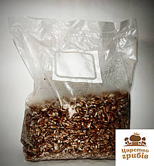 Міцелій зерновий Шиїтаке (Lentinula Edodes) 1 кг.