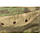 Кепка літня польова P1G® BDU Battle Cap - AFG Camo, фото 4