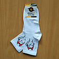 Білі шкарпетки жіночі білі кицька, фото 3