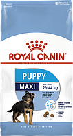 Royal Canin Maxi Puppy Сухий корм для цуценят великих порід 20 кг