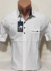 Сорочка чоловіча з коротким рукавом Noseda vk-0003 біла приталені однотонна стрейч коттон Туреччина XL