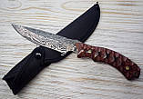 Ніж нескладний Columbia Спартанець 65х13, фултанг, фото 6