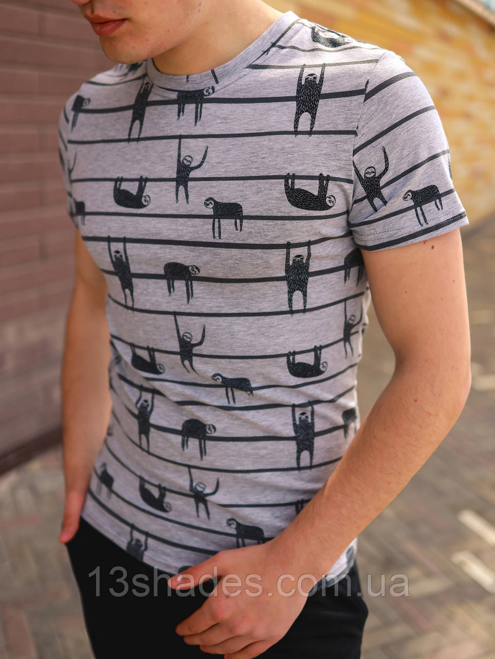 Футболка чоловіча унісекс abc* принт бавовна сірий Київ, фото 1