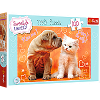 Пазл Trefl Цуценя та кошеня 100 деталей 16264
