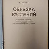 Обрізка рослин Троянди та інші декоративні чагарники К. Брикелл, фото 3