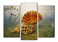 Большая Модульная картина с часами в гостинную Морская ракушка 30х60 30х70 30х60 см