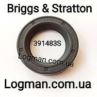 Сальник для двигателя Briggs & Stratton (391483S)