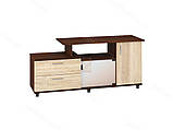 Тумба PTВ Токіо ДСП (Пехогін) 1200х380х620мм, фото 5