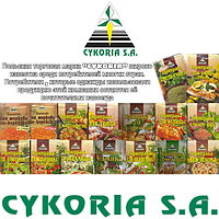 CYKORIA🇵🇱