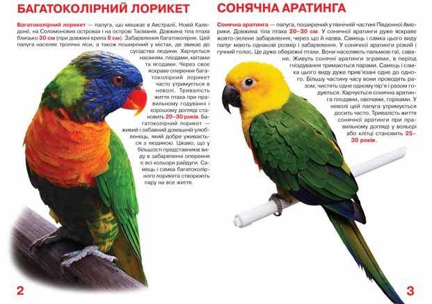 Енциклопедія Велика книжка. Папуги. Світ навколо нас, фото 3