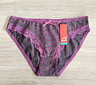 Труси жіночого бавовни мереживо Вайолет. Польща. Трусики жіночі, фото 2