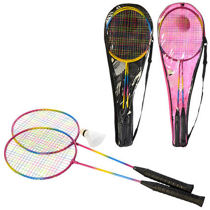 Бадмінтон залізний MS 0754-1