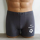Чоловічі труси боксери бамбук М'яч Польща Сексуальна чоловіча білизна, фото 7