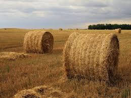 Шпагат для пакування соломи JUTA 600 / Юта ПП 600; 3000 м, 84 кг на розрив з ПДВ, фото 3